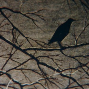 Image for 'o dia em que a maré carregou nossos corpos'