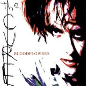 Bild für 'Bloodflowers'