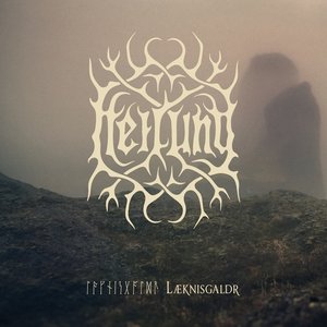 Image for 'Læknisgaldr'