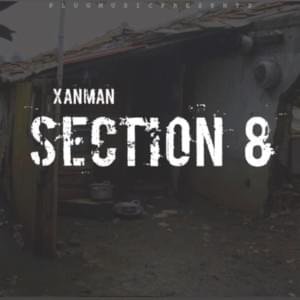 Image for 'Section 8'