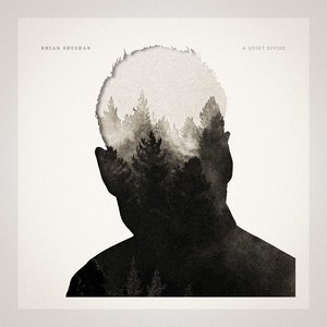 Image for 'A Quiet Divide'