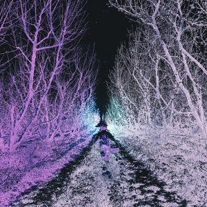 Image for 'TRANSIENT LOVE'