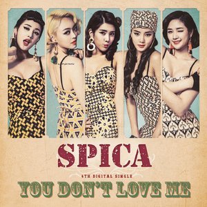 Image for 'You Don't Love Me'