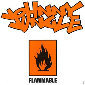 Image for 'flammable'