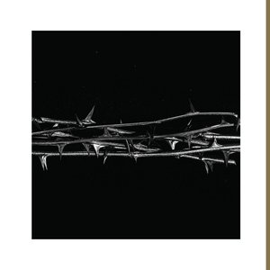 Image for 'De Doorn'