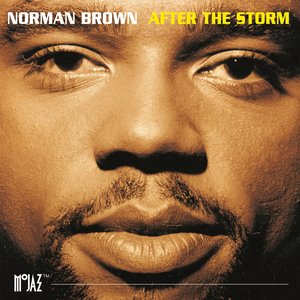 Imagem de 'After The Storm'