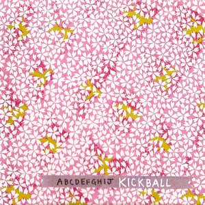 Image for 'ABCDEFGHIJKickball'