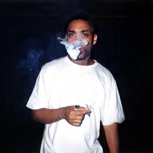 Image for 'Wiley'