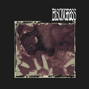 Zdjęcia dla 'Bisongrass'