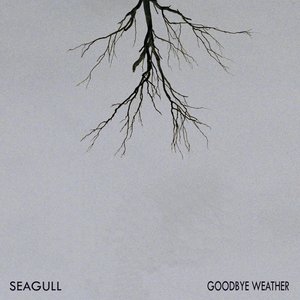 Immagine per 'Goodbye Weather'