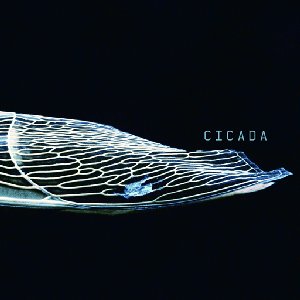 Image for 'CICADA'