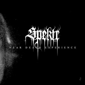 Image for 'Near Death Experience'