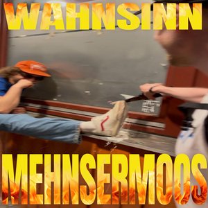 Bild für 'Wahnsinn'