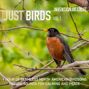 Image for 'Just Birds Vol 1: 1 Hour of Seamless North American Birdsong Nature Sounds for Calming and Peace'