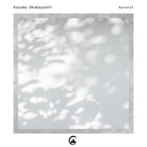 Image for 'Auroral'