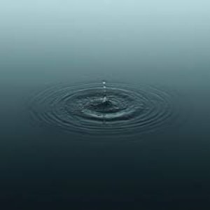 Immagine per 'A Thousand Quiet Drops'