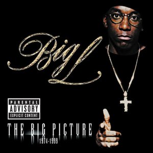 Image for 'The Big Picture'