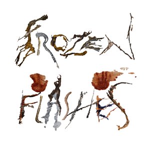 Bild für 'Frozen Flashes'