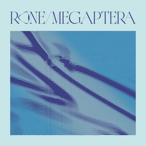 Image for 'Megaptera'
