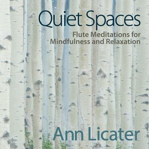 Image for 'Quiet Spaces: Flute Meditations for Mindfulness and Relaxation'