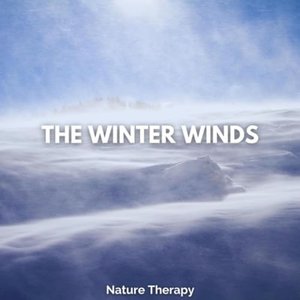 Image for 'The Winter Winds'