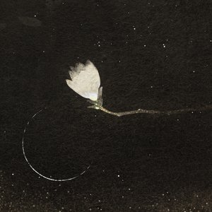 Image for 'ENDER MAGNOLIA: Bloom in the Mist Original Soundtrack'