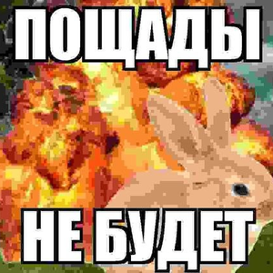 softviol3nse