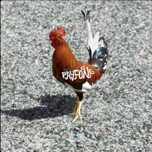Image for '10 Years of Payfone (2013-2023)'