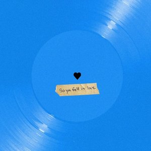 Bild för 'So You Fell in Love'