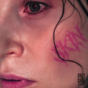 “Skin”的封面