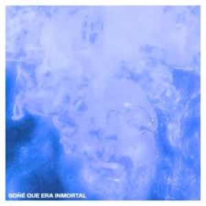 Image for 'Soñé Que Era Inmortal'