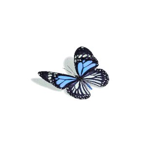 Imagem de 'Butterfly Tetrad'