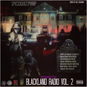 Изображение для 'Blackland Radio 66.6 Vol. 2'