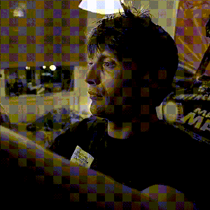 perritogordito
