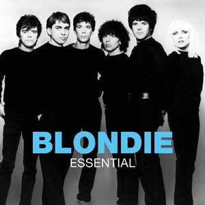 Image for 'Essential'