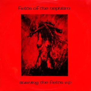 Image for 'Burning the Fields LP'