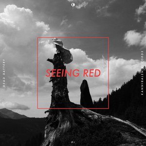 Image for 'Seeing Red'