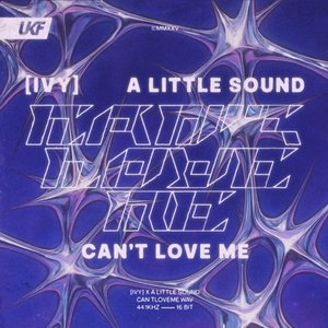 Image for 'Can't Love Me'