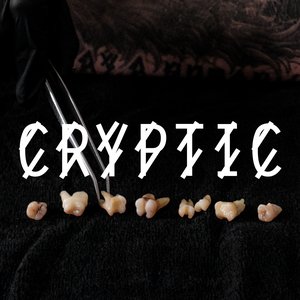 Bild für 'Cryptic (Kobosil Hart Mix)'