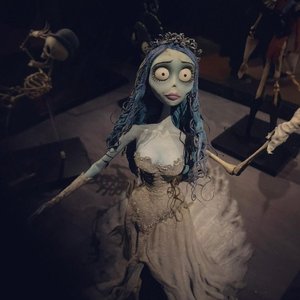 Изображение для 'corpse bride'