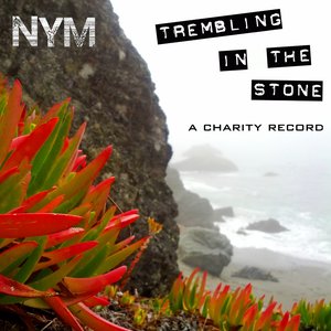 Imagem de 'Trembling in the Stone'