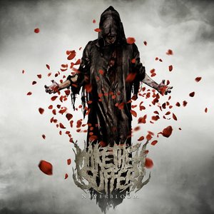 Immagine per 'Neverbloom'