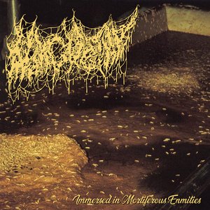 Immagine per 'Immersed in Mortiferous Enmities'