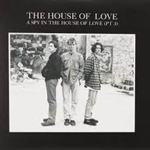 Image for 'A Spy In The House Of Love (Part Three)'