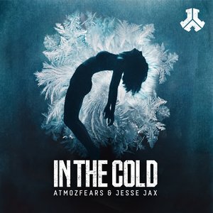 Image for 'In The Cold'