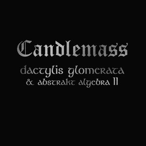 Immagine per 'Dactylis Glomerate & Abstrakt Algebra II'
