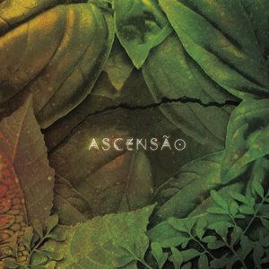 Image for 'Ascensão'