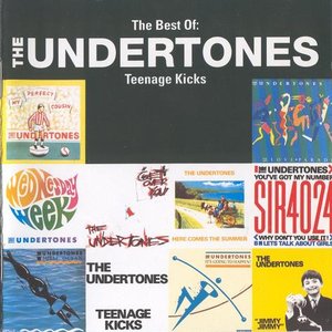 Image for 'The Best Of: The Undertones Teenage Kicks'