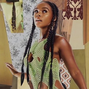 Zdjęcia dla 'Janelle Monáe'