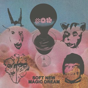 Image for 'Soft New Magic Dream'